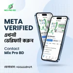 Meta Verified