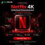 Netflix Premium 12 Months